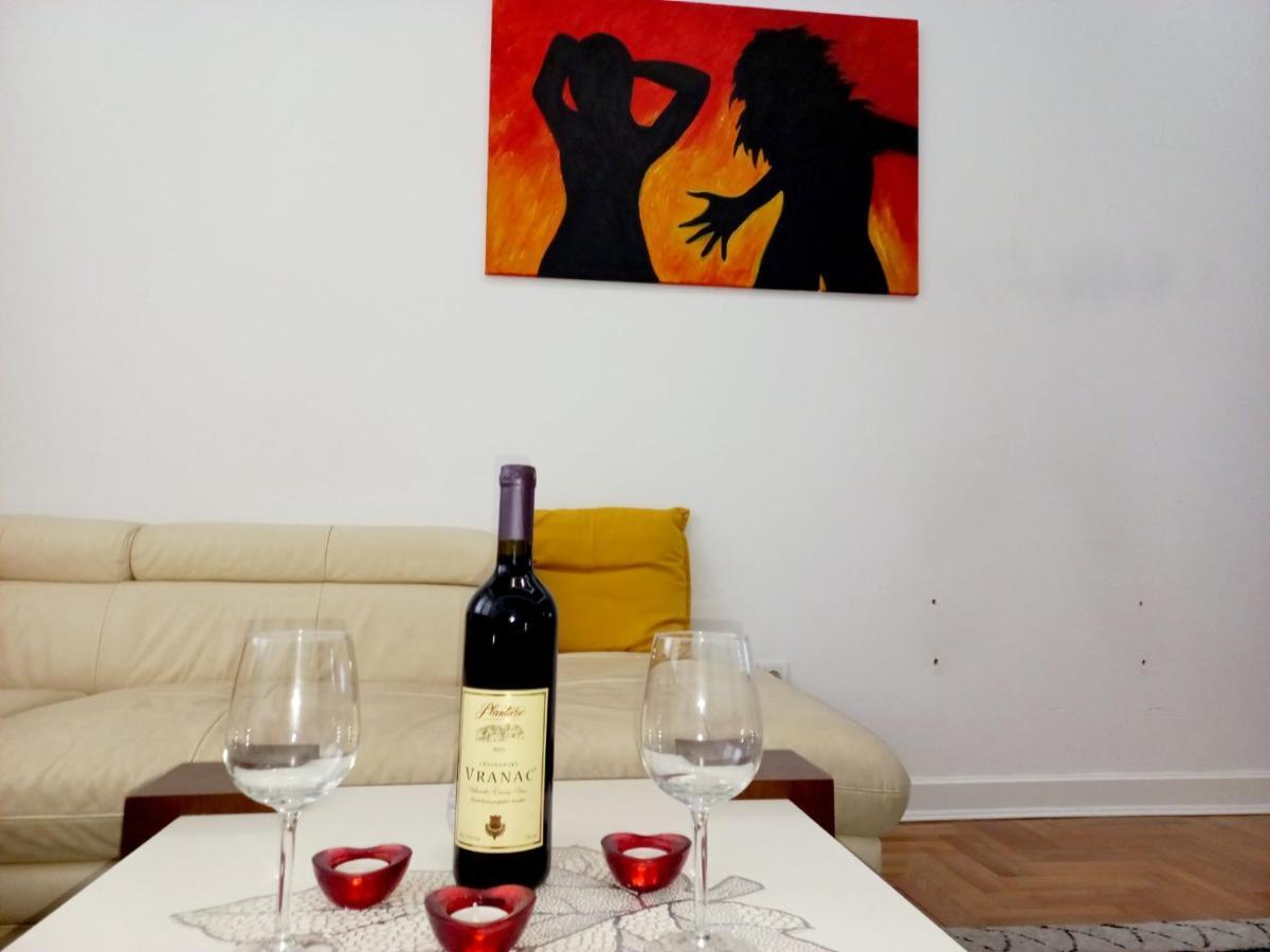 Apartment Alex Belgrad Zewnętrze zdjęcie