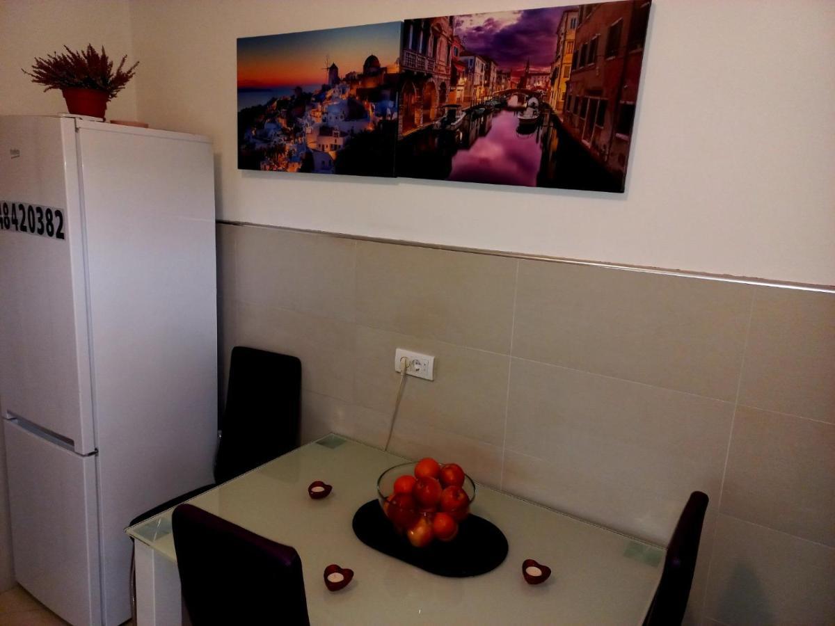 Apartment Alex Belgrad Zewnętrze zdjęcie